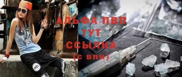 мескалин Богданович