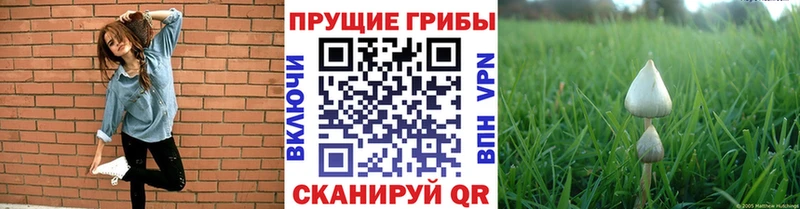 Псилоцибиновые грибы мухоморы  Купить  Луза 