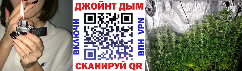 Купить где  Луза  Каннабис план 